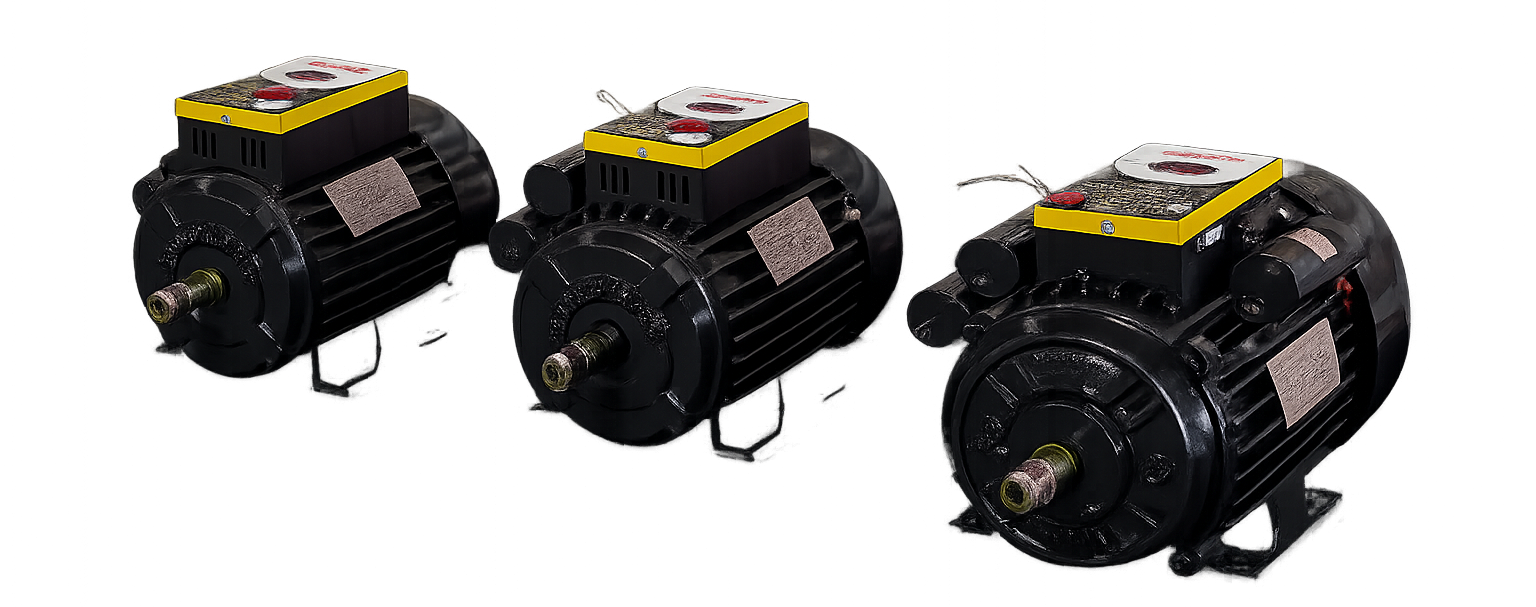 swadheen motors